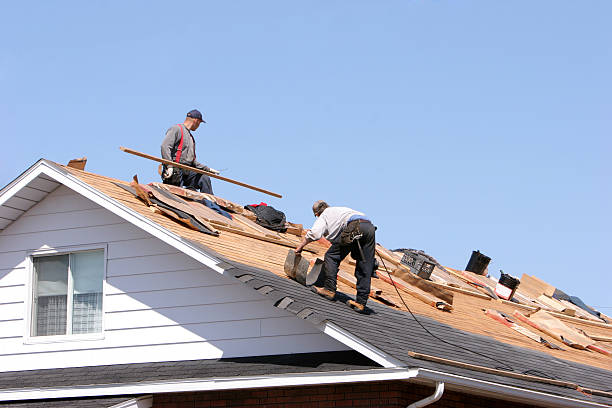 Sheet Metal Roofing in Ponderosa Park, CO