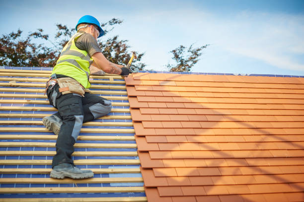 Best Metal Roofing Installation  in Ponderosa Park, CO